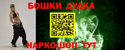 крисы Кулебаки