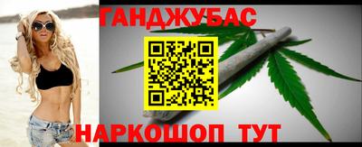 крисы Кулебаки
