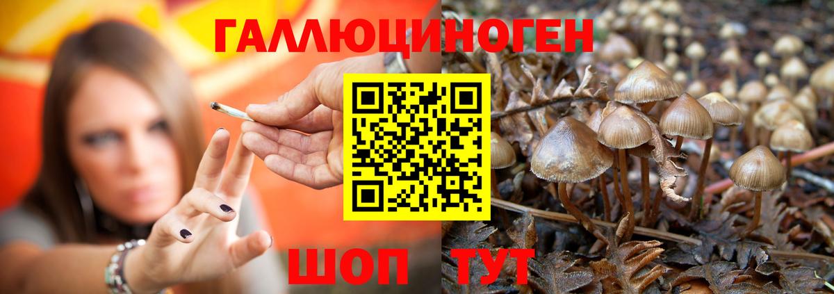 Долгопрудный  дарнет шоп  Вход с VPN  Галлюциногенные грибы Psilocybe  Галлюциногенные грибы Magic Shrooms 