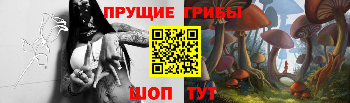 Псилоцибиновые грибы ЛСД Долгопрудный